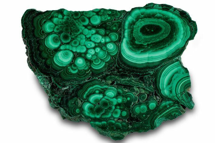 Flowery Polished Malachite Slab - DR Congo #319855